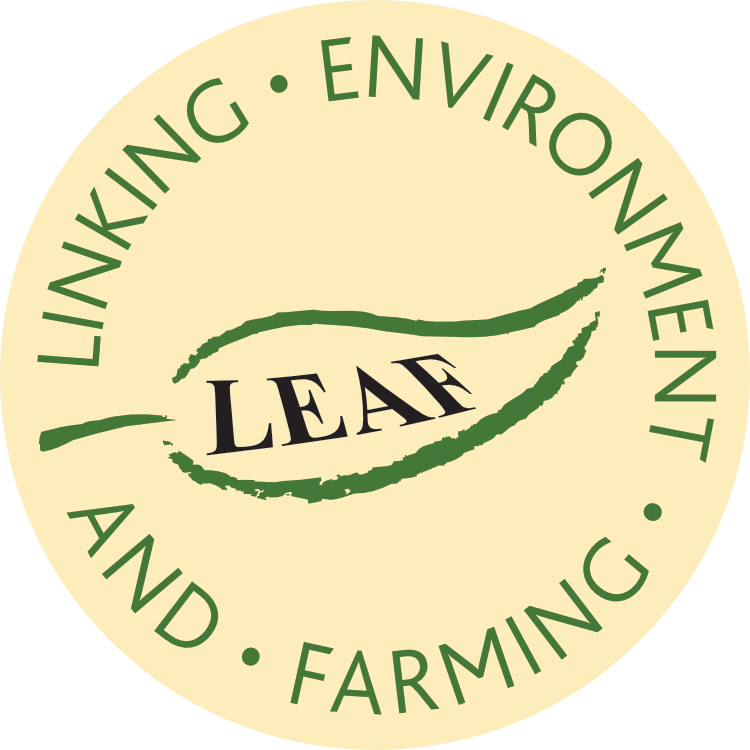 leaf-logo.png